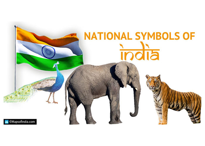 india animals